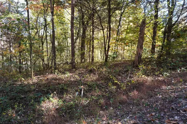 Parrotsville, TN 37843,Lot 46 West DR