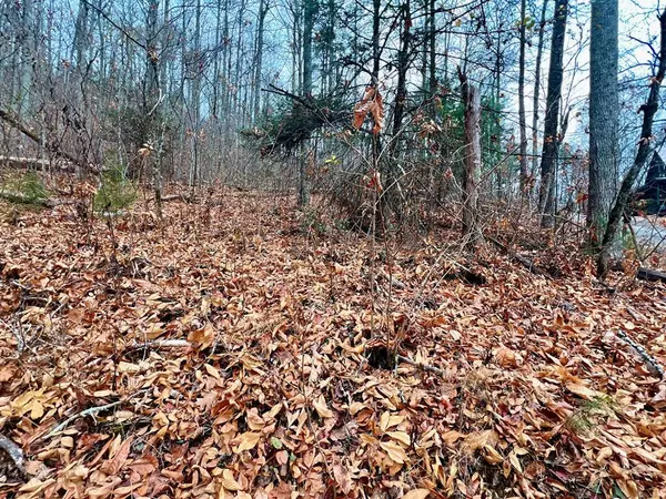 Lot 10 Shagbark Hickory RDG, Sevierville, TN 37862