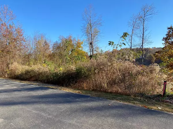 Sevierville, TN 37876,Lot 11 Sanctuary Shores WAY