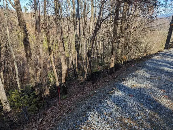 Lot 5 Stans RD, Gatlinburg, TN 37738