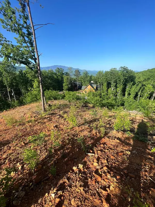 Gatlinburg, TN 37738,Lot 68,69 Pine Top LN