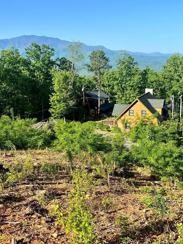 Gatlinburg, TN 37738,Lot 68,69 Pine Top LN