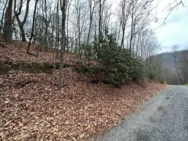 Lot 43 Trailer Park LN, Sevierville, TN 37876