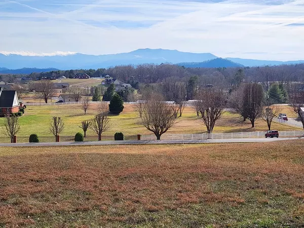 Sevierville, TN 37876,Lot 33 New Center RD