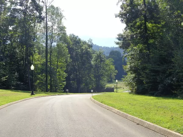 Newport, TN 37821,Lot 14 Meadowood