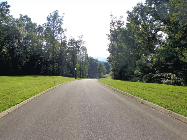 Newport, TN 37821,Lot 14 Meadowood