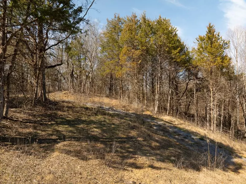 Lot 3 Cody View WAY, Sevierville, TN 37876