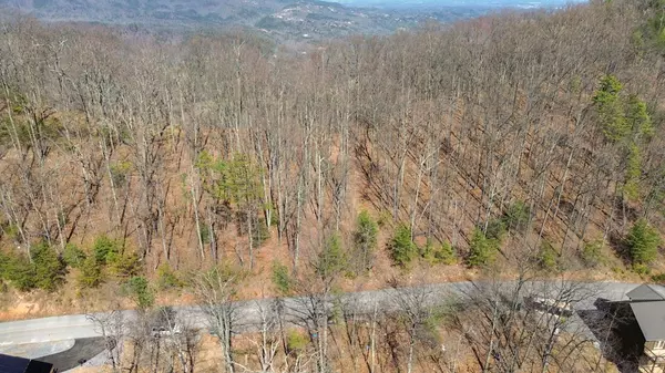 Sevierville, TN 37862,Lot 123E Settlers View LN