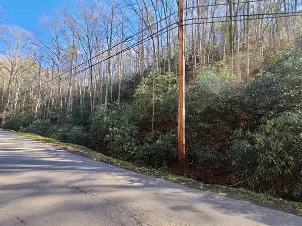 Gatlinburg, TN 37738,Lot 17 Butler Branch RD