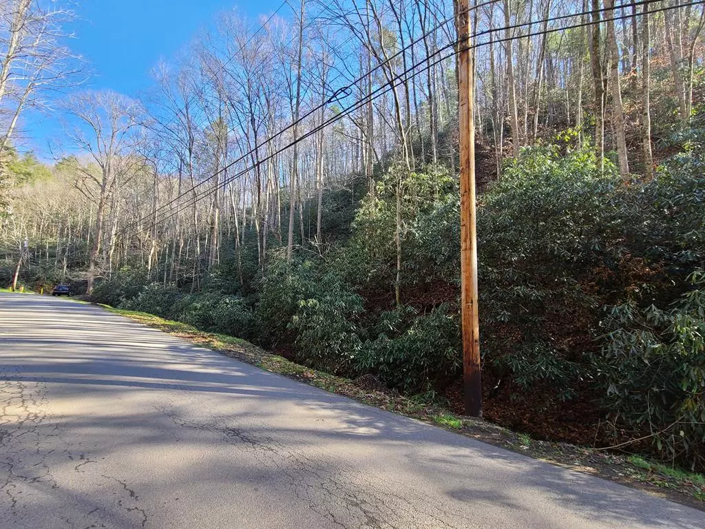 Gatlinburg, TN 37738,Lot 17 Butler Branch RD