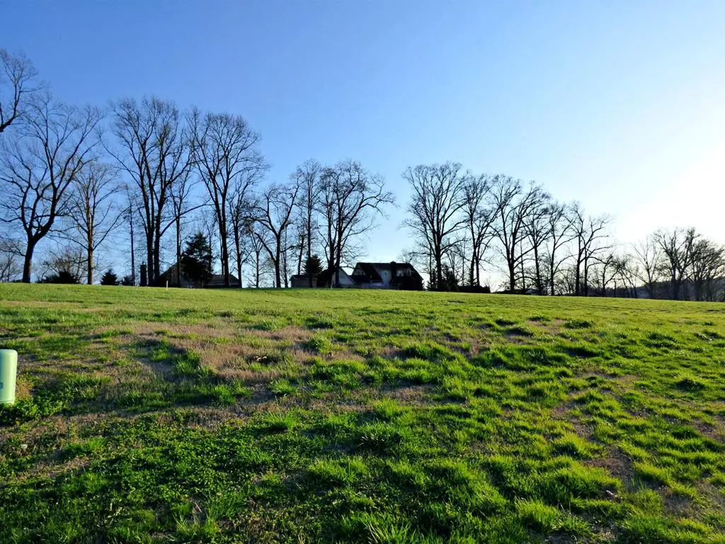 Dandridge, TN 37725,Lot 9 Fairway DR