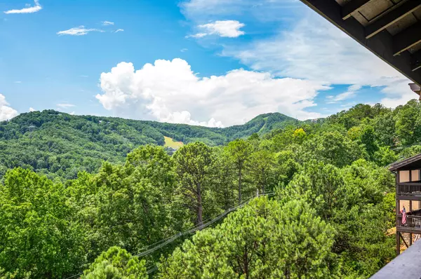 Gatlinburg, TN 37738,1050 Ski View DR 205