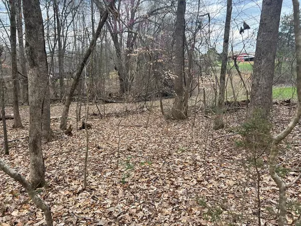 Lot# 15 Delainey DR, Kodak, TN 37764