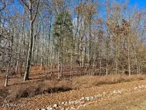 Lot 137 E. Shore DR, Rockwood, TN 37854