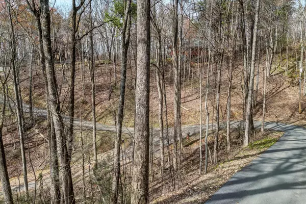 Sevierville, TN 37876,Lot 194A Ski View LN