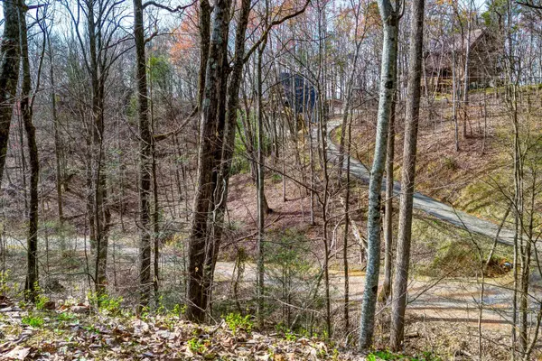 Sevierville, TN 37876,Lot 194A Ski View LN