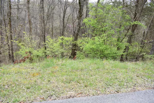 Sevierville, TN 37876,2450 Fawn View DR