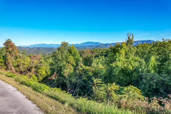 Sevierville, TN 37862,Lot 103 Laurel Cove TRL