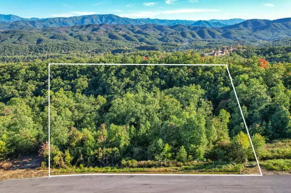 Sevierville, TN 37862,Lot 103 Laurel Cove TRL