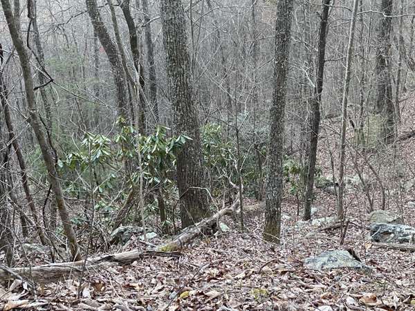 Lot 35 Elderberry DR, Sevierville, TN 37876