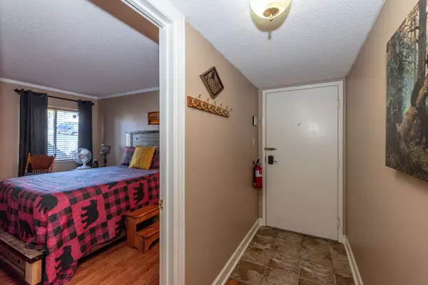 Gatlinburg, TN 37738,1260 Ski View DR 6101