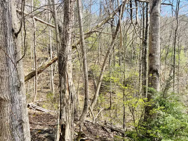 Sevierville, TN 37876,Lot 3 Sassafras TRL