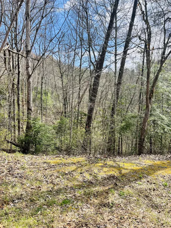 Sevierville, TN 37876,Lot 3 Sassafras TRL