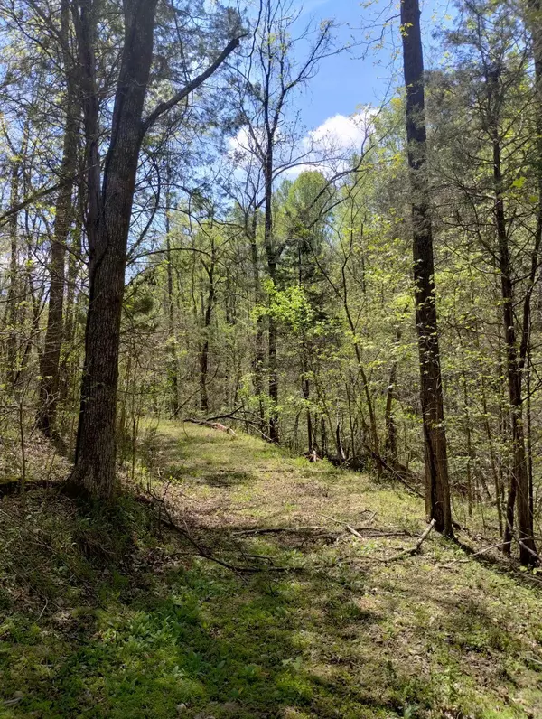 Bulls Gap, TN 37711,236 Buzzard Roost RD