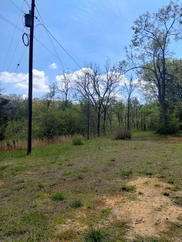 Bulls Gap, TN 37711,236 Buzzard Roost RD