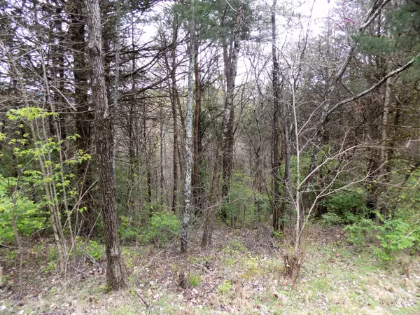 Newport, TN 37821,Par 067.14 Alpha RD