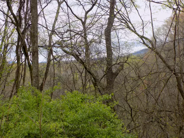 Newport, TN 37821,Par 067.14 Alpha RD