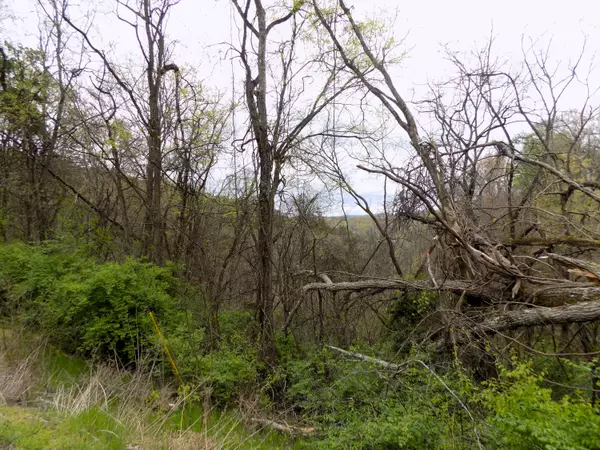 Newport, TN 37821,Par 067.14 Alpha RD