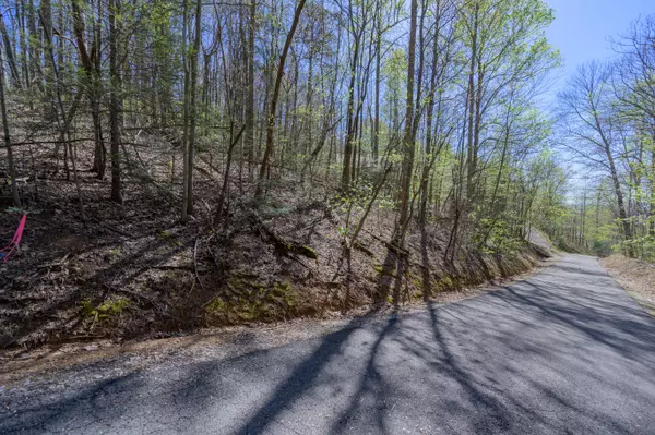 Sevierville, TN 37876,Lot 804 Rhododendron LN