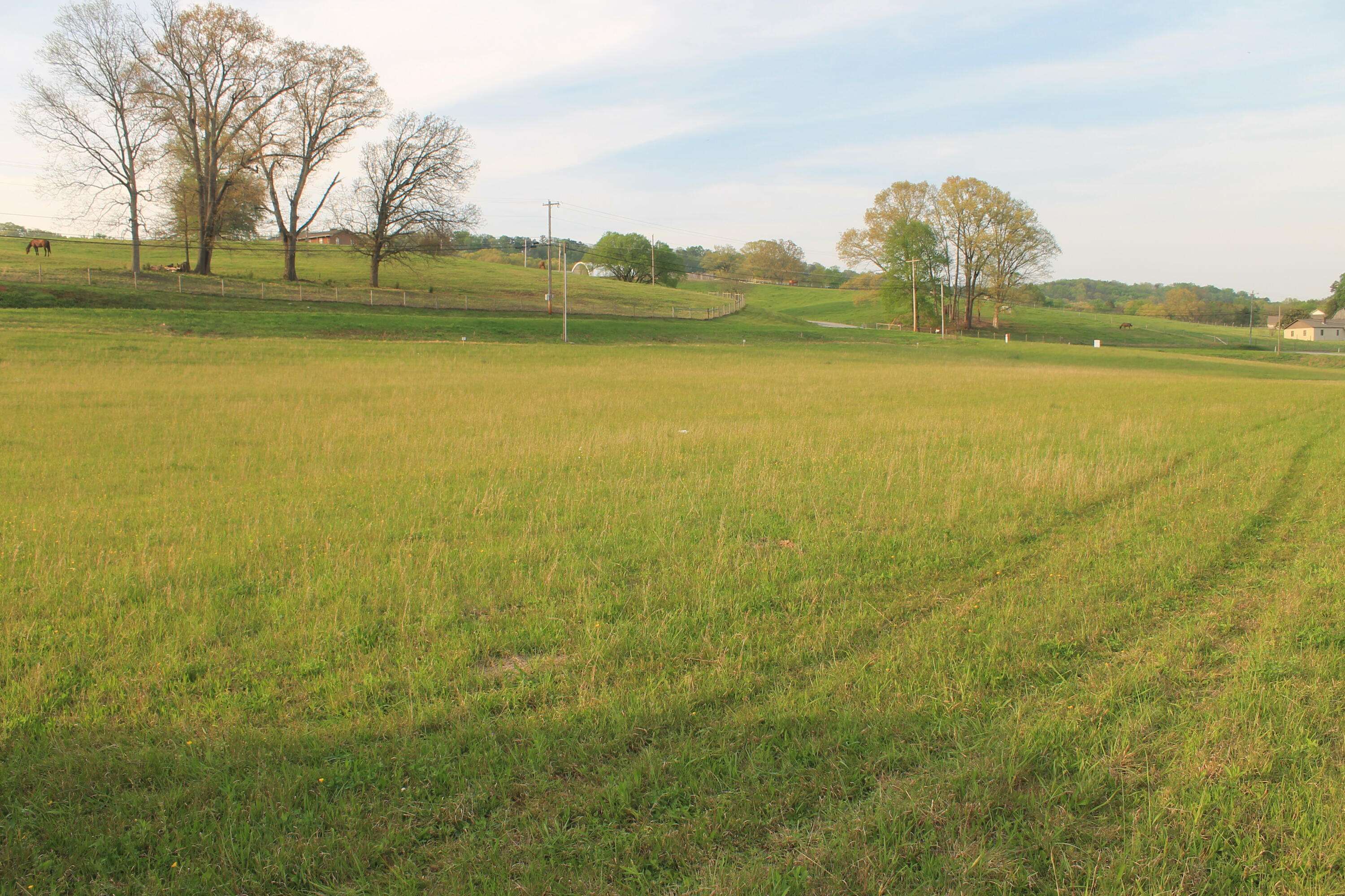 Lot 2 Roddy Branch Rd, Rockford, TN 37853