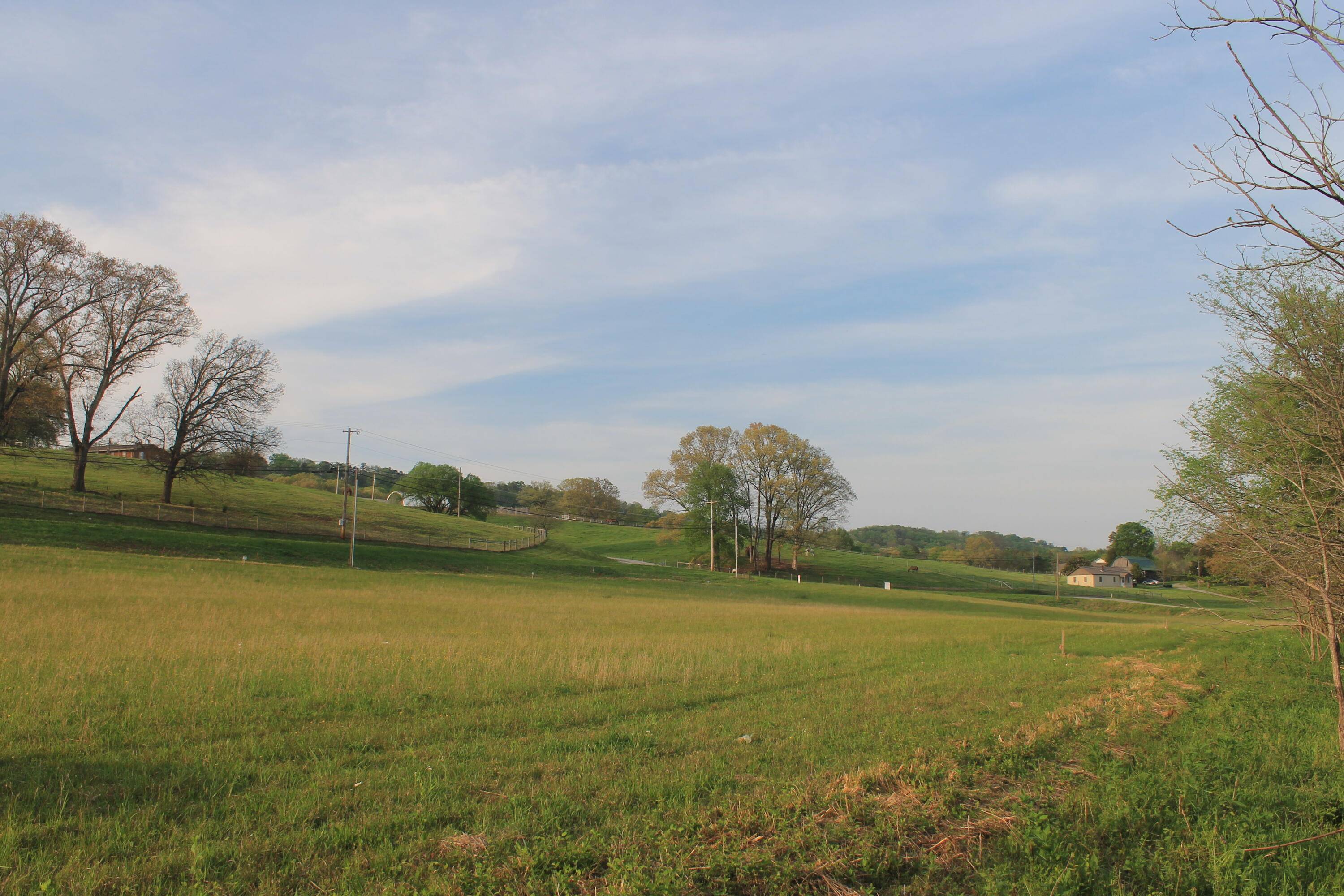 Lot 3 Roddy Branch Rd, Rockford, TN 37853
