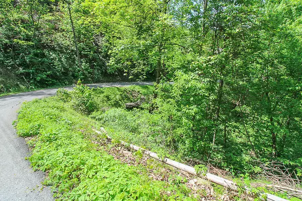 Gatlinburg, TN 37738,Lot 579 Crooked Ridge RD