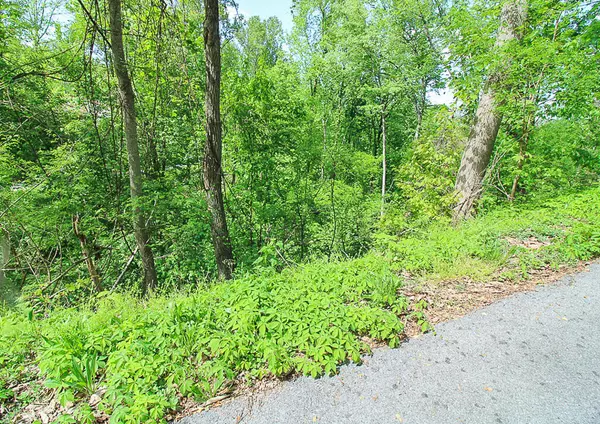 Gatlinburg, TN 37738,Lot 579 Crooked Ridge RD