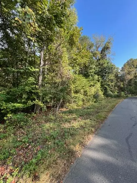 Lot 1015 Mountain View LN, Baneberry, TN 37890