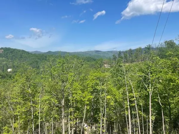 2276 Headrick Lead, Sevierville, TN 37862