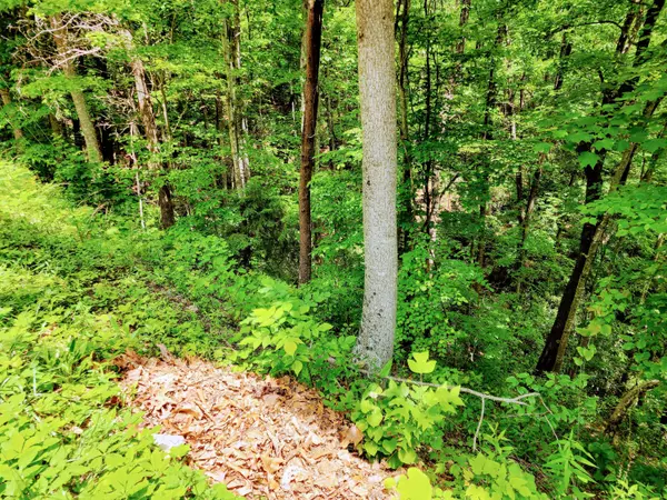 Gatlinburg, TN 37738,Lot 6 Alpenrose Dr.