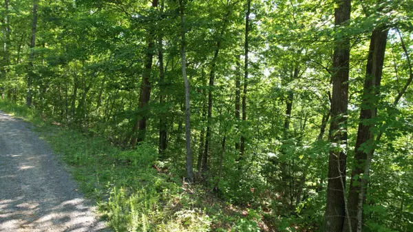 Sevierville, TN 37876,Lots 28/36 Shady Oaks WAY