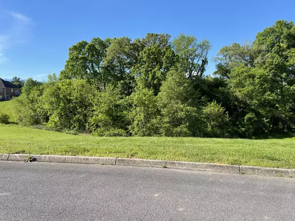 Sevierville, TN 37862,Lot 10 Alum Cave CV