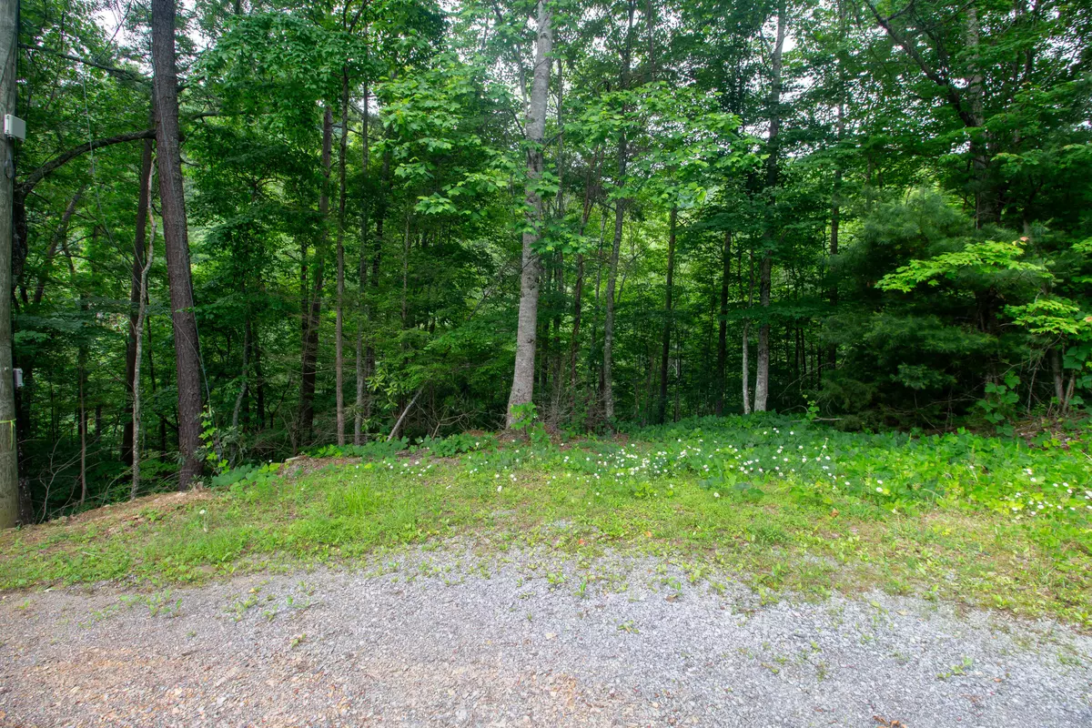 Sevierville, TN 37862,Lot 9 Pine Crest LN