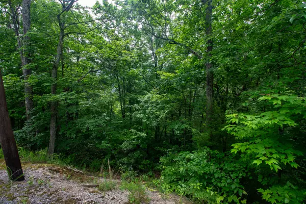 Sevierville, TN 37862,Lot 15 Overholt Trail