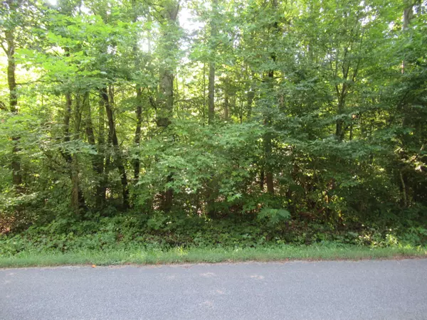 Cosby, TN 37722,Lot 4 Rocky Flats RD