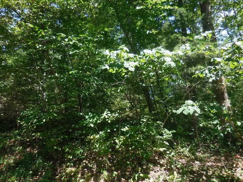 Lot 68 SANDY POINT LN, Sevierville, TN 37876