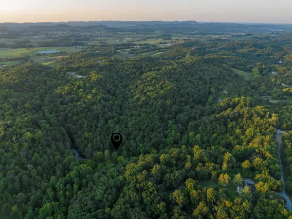 Bulls Gap, TN 37711,263 Buzzard Roost RD