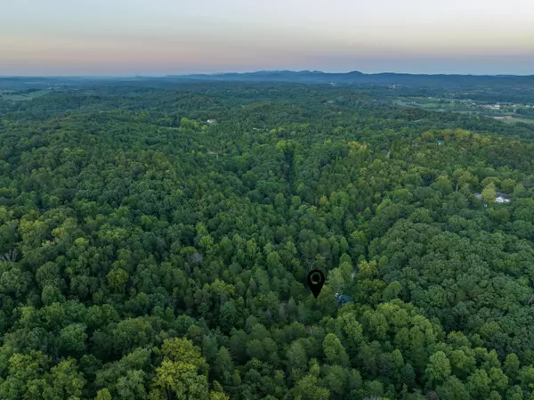 Bulls Gap, TN 37711,263 Buzzard Roost RD