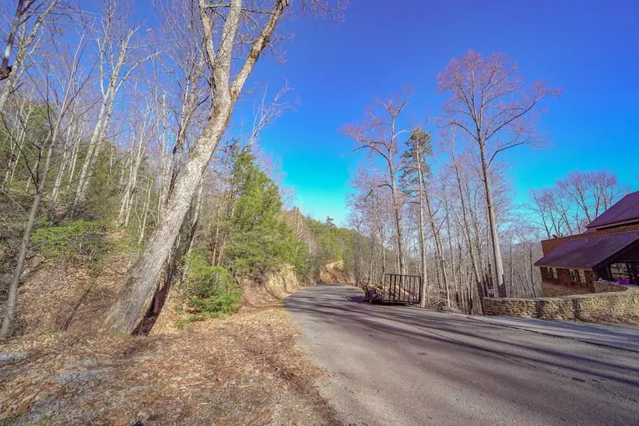 Lot C-11 Watercress WAY, Gatlinburg, TN 37738