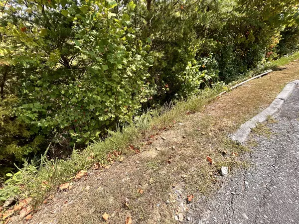 Sevierville, TN 37862,Lot 112 Eagle Cloud WAY